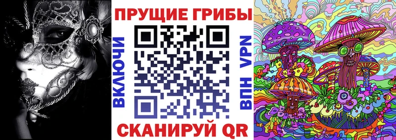 кракен сайт  цены   Судак  Галлюциногенные грибы мухоморы 